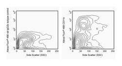 CD11b Rat anti-Mouse, Alexa Fluor 488, Clone: M1/70, BD 0.1mg; Alexa Fluor