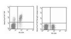 anti-IgG1, , Rat, Alexa Fluor 647, Clone: R3-34, BD:Antibodies:Isotype