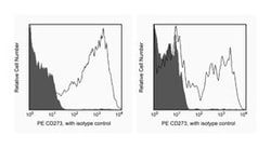 CD273 Rat anti-Mouse, PE, Clone: TY25, BD 0.1mg; PE:Antibodies, Monoclonal