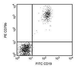 CD79b Mouse anti-Human, PE, Clone: SN8, BD 100 Tests; PE:Antikroppar