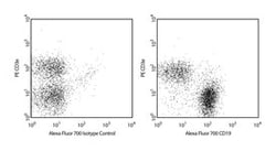 CD19 Rat anti-Mouse, Alexa Fluor 700, Clone: 1D3, BD 0.1mg; Alexa Fluor