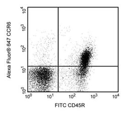 CCR6 Rat anti-Mouse, Alexa Fluor 647, Clone: 140706, BD 0.1mg; Alexa Fluor