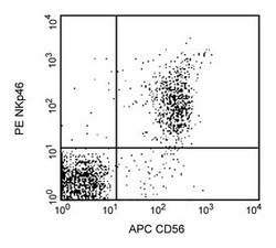 NKp46 Mouse anti-Human, PE, Clone: 9E2/NKP46, BD 100 Tests; PE:Antibodies,