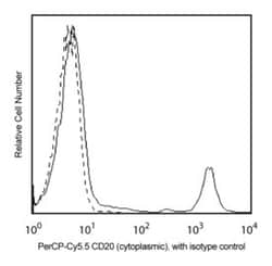 CD20 Mouse anti-Human, PerCP-Cy5.5, Clone: H1, BD 50 Tests; PerCP-Cy5.5:Antibodies,