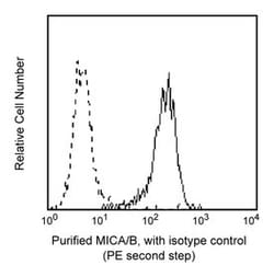 MIC A/B anti-Human, Unlabeled, Clone: 6D4, BD 0.1mg; Unlabeled:Antibodies,