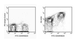 CD55 Hamster anti-Mouse, PE, Clone: RIKO-5, BD 0.1mg; PE:Antibodies, Monoclonal