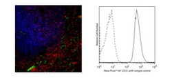 CD31 Mouse anti-Human, Alexa Fluor 647, Clone: M89D3, BD 0.1 mg | Buy Online | BD Biosciences | Fisher Scientific