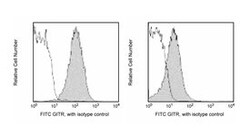 GITR Rat anti-Mouse, FITC, Clone: DTA-1, BD 0.1mg; FITC:Antibodies, Monoclonal