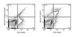 CD117 Rat anti-Mouse, PE-Cy7, Clone: 2B8, BD 25&mu;g; PE-Cy7:Antibodies,