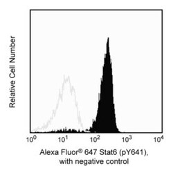 Stat6 (pY641) Mouse anti-Mouse, Alexa Fluor 647, Clone: J71-773.58.11,