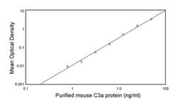 C3a Rat anti-Mouse, Unlabeled, Clone: I87-1162, BD 0.1mg; Unlabeled:Antibodies,