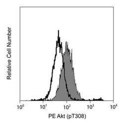 AKT (pT308) Mouse, PE, Clone: J1-223.371, BD 50 Tests | Buy Online | BD Biosciences | Fisher Scientific