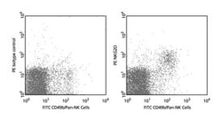 CD314 Rat anti-Mouse, PE, Clone: CX5, BD 0.1mg; PE:Antibodies, Monoclonal
