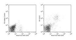 CD337 (NKp30) Mouse anti-Human, PE, Clone: P30-15, BD 0.1mg; PE:Antibodies,