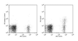 CD267 Rat anti-Human, PE, Clone: 1A1-K21-M22, BD 0.1mg; PE:Antibodies,