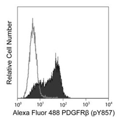 CD140b (pY857) Mouse, Alexa Fluor 488, Clone: J24-618, BD 50 Tests | Buy Online | BD Biosciences | Fisher Scientific