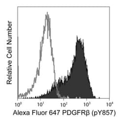 CD140b (pY857) Mouse, Alexa Fluor 647, Clone: J24-618, BD 50 Tests | Buy Online | BD Biosciences | Fisher Scientific