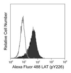 LAT (pY226) Mouse anti-Human, Alexa Fluor 488, Clone: J96-1238.58.93, BD