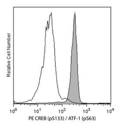 CREB (pS133) / ATF-1 (pS63) Mouse, PE, Clone: J151-21, BD 50 Tests; PE:Antibodies,