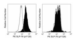 SLP-76 (pY128) Mouse, PE, Clone: J141-668.36.58, BD 50 Tests; PE:Antibodies,