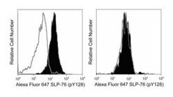 SLP-76 (pY128) Mouse, Alexa Fluor 647, Clone: J141-668.36.58, BD 50 Tests;