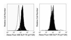 SLP-76 (pY128) Mouse, Alexa Fluor 488, Clone: J141-668.36.58, BD 50 Tests;