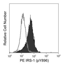 IRS-1 (pY896) Mouse, PE, Clone: K9-211, BD 50 Tests; PE:Antibodies, Monoclonal