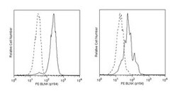 BLNK (pY84) Mouse, PE, Clone: J117-1278, BD 50 Tests; PE:Antibodies, Monoclonal