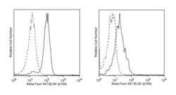 BLNK (pY84) Mouse, Alexa Fluor 647, Clone: J117-1278, BD 50 Tests; Alexa