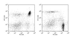 Rat T Lymphocyte Cocktail Rat, APC, FITC, PE, Clone: 1F4, OX-35, OX-8,