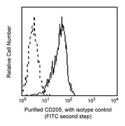 CD205 Mouse anti-Human, Unlabeled, Clone: MG38, BD 0.1mg; Unlabeled:Antibodies,