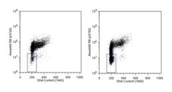 Rb (pS780) Mouse, Alexa Fluor 488, Clone: J146-35, BD 50 Tests | Buy Online | BD Biosciences | Fisher Scientific