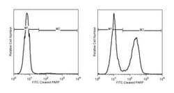 PARP, Cleaved Form Mouse, FITC, Clone: F21-852, BD 100 Tests; FITC:Antibodies,
