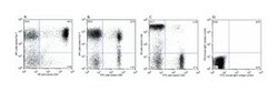 T Lymphocyte Cocktail Mouse anti-Dog, APC, FITC, PE, Clone: LSM 8.358,