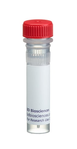 Cyclin C Rabbit, Unlabeled, Polyclonal, BD 0.1mL; Unlabeled:Antibodies,