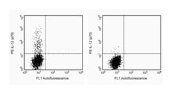IL-12 (p70) Rat anti-Human, PE, Clone: 20C2, BD 100 Tests; PE:Antibodies,