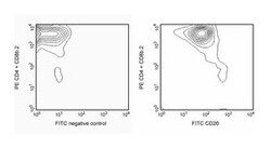 CD26 Rat anti-Mouse, FITC, Clone: H194-112, BD 0.1mg; FITC:Antibodies,