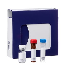 BD&nbsp;Cytometric Bead Array (CBA) Phospho SLP-76 (Y145); Flex Set, Bead D6