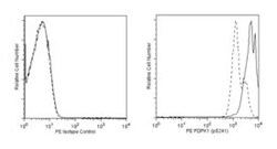 PDPK1 (pS241) Mouse, PE, Clone: J66-653.44.17, BD 50 Tests; PE:Antibodies,