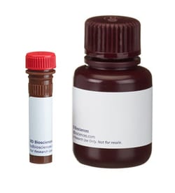 Human FoxP3 Buffer Set; BD