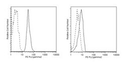 PLC- 2 Mouse anti-Human, PE, Clone: K86-1161, BD 50 Tests; PE:Antibodies,