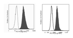 PKC (pT497) Mouse, PE, Clone: K14-984, BD 50 Tests; PE:Antibodies, Monoclonal