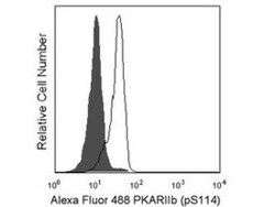 PKA (RII ) (pS114) Mouse anti-Human, Alexa Fluor 488, Clone: 47, BD 50