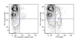 CD34 Rat anti-Mouse, FITC, Clone: RAM34, BD:Antibodies:Primary Antibodies