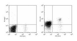 IL-21R Mouse anti-Human, PE, Clone: 17A12, BD 100 Tests; PE:Antibodies,