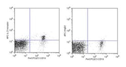 IL-21R Mouse anti-Human, APC, Clone: 17A12, BD 100 Tests; APC:Antibodies,