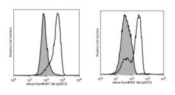 Akt (pS473) Mouse, Alexa Fluor 647, Clone: M89-61, BD:Antibodies:Primary