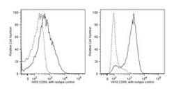 CD86 Rat anti-Mouse, V450, Clone: GL1, BD:Antibodies:Primary Antibodies