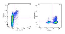 FoxP3 Mouse anti-Human, V450, Clone: 259D/C7, BD:Antibodies:Primary Antibodies