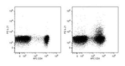 IL-21 Mouse anti-Human, PE, Clone: 3A3-N2.1, BD 100 Tests; PE:Antibodies,